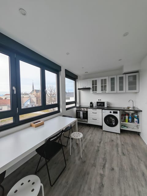 Kitchen or kitchenette, Dining area, oven, stove, washing machine