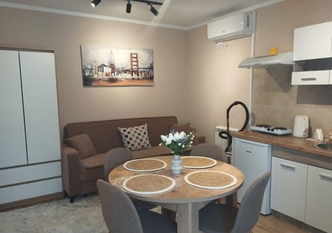 Kitchen or kitchenette, Living room, Seating area, Dining area, stove, air conditioner