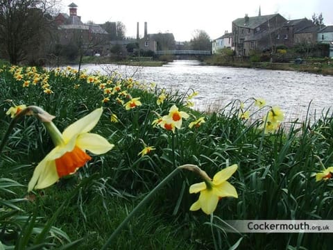 Studio No5, Cockermouth The Lakes Apartment in Allerdale District