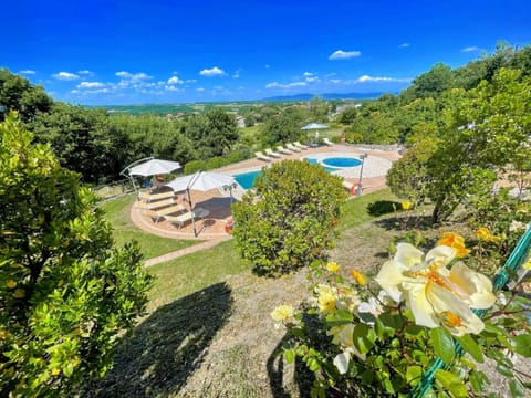 Summer, Garden, Swimming pool