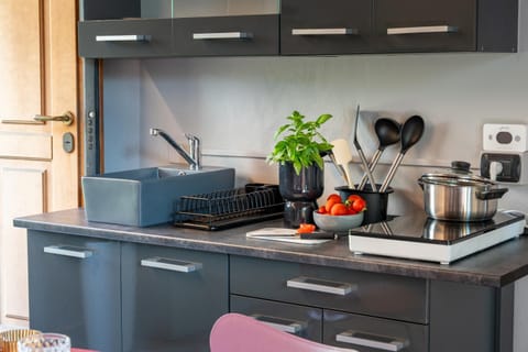 Coffee/tea facilities, Kitchen or kitchenette, pet friendly, stove, toaster