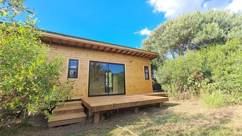 Property building, Garden, Garden view