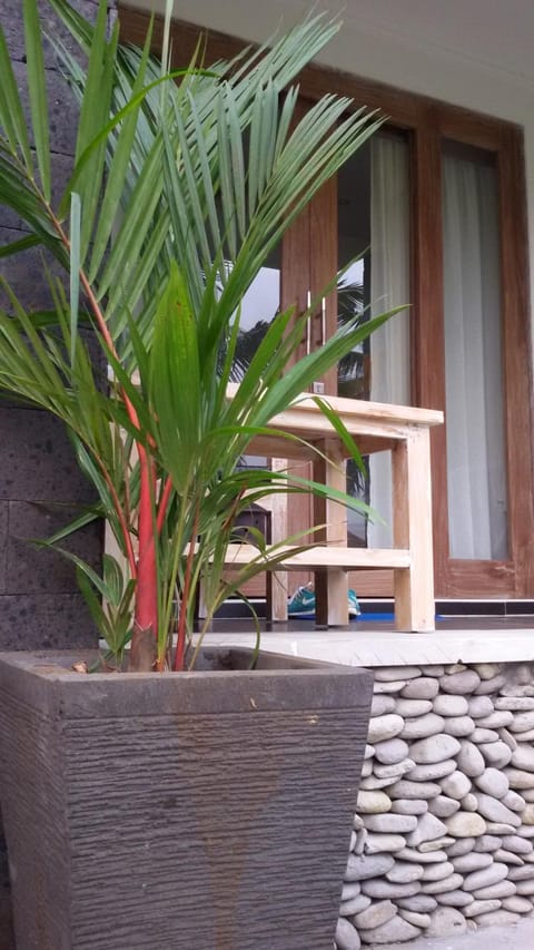 Blu Mango Bed and Breakfast in Ubud