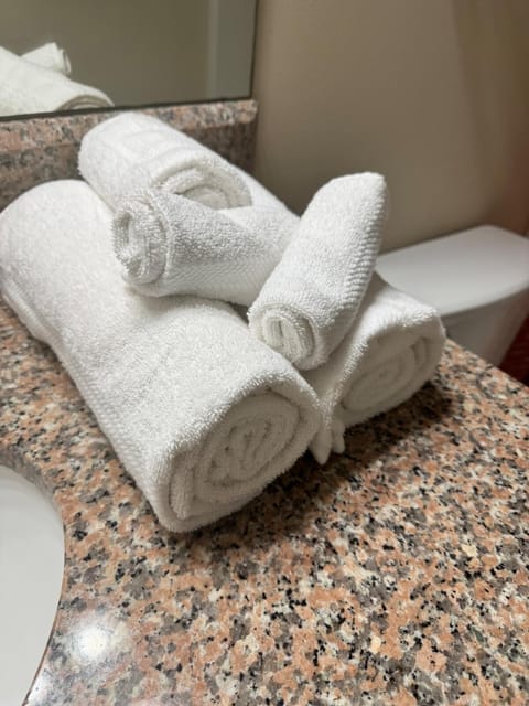 3 Bedroom 4 Bed Private Patio Home on GSU Campus Apartment in Statesboro