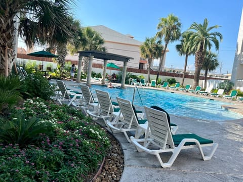 Pool view, Swimming pool, sunbed