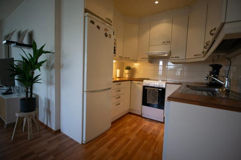 Scandinavian Sauna Apartment Apartment in Rovaniemi