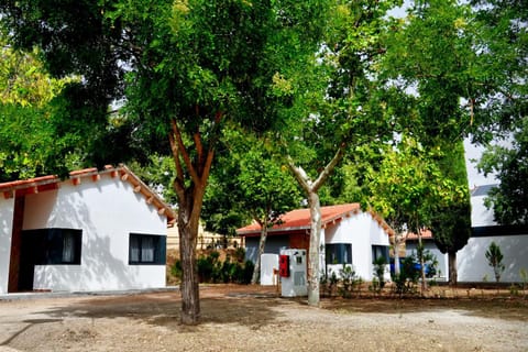 Property building, Off site, Natural landscape, Garden, Garden view, Street view