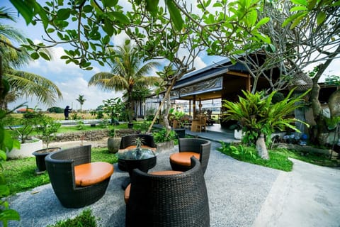 Spring, Day, Natural landscape, Garden, Garden view
