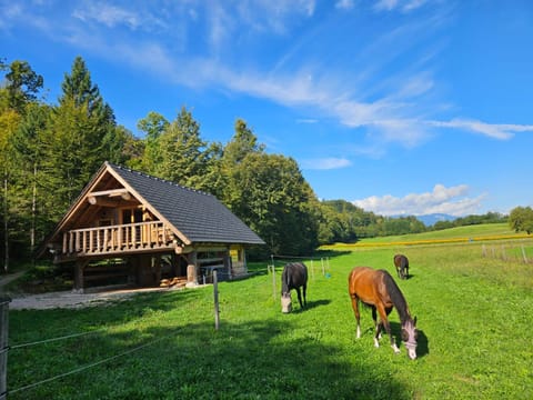 Natural landscape