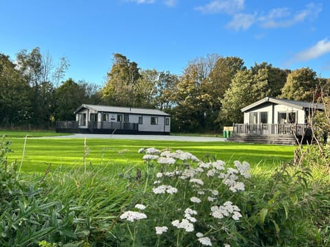 Willow lodge Chalet in Wales