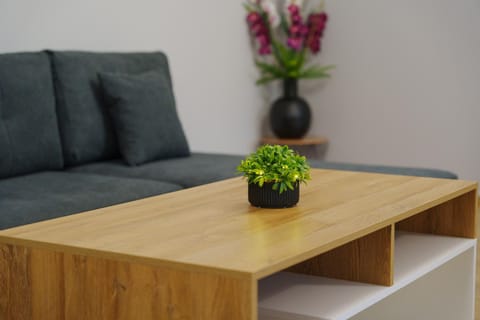 Relax Home Meteora Apartment in Kalabaka