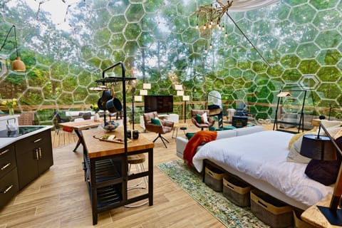 Facade/entrance, View (from property/room), Living room, Area and facilities