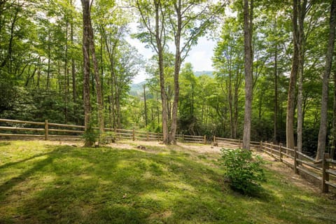 Cabin at Cool Springs Cabin in Watauga