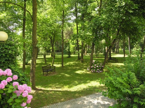 Spring, Day, Day, Summer, Garden, Garden, Autumn, On site