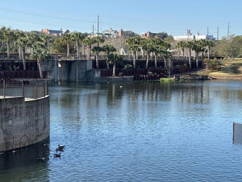 Campus Close Game Dates Open, Pets YES Apartment in Tallahassee