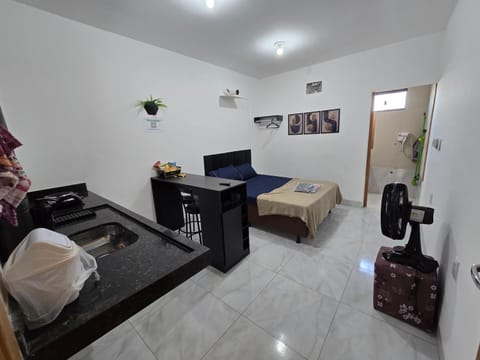 Bed, TV and multimedia, Kitchen or kitchenette, Living room, Photo of the whole room, Seating area, Bedroom