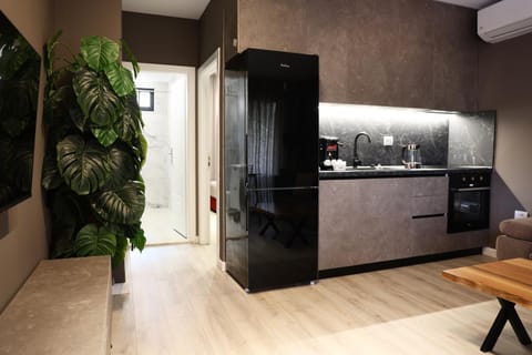 Kitchen or kitchenette, minibar, oven, stove
