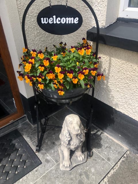 Drumcoo Guest House Bed and Breakfast in Leitrim, Co. Leitrim, Ireland