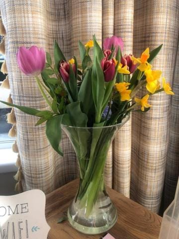 Drumcoo Guest House Bed and Breakfast in Leitrim, Co. Leitrim, Ireland