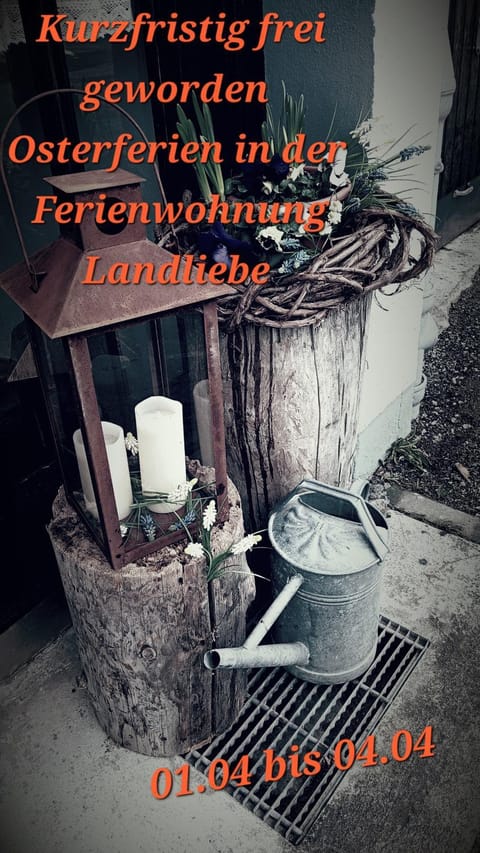 Ferienwohnung Landliebe Apartment in Tyrol