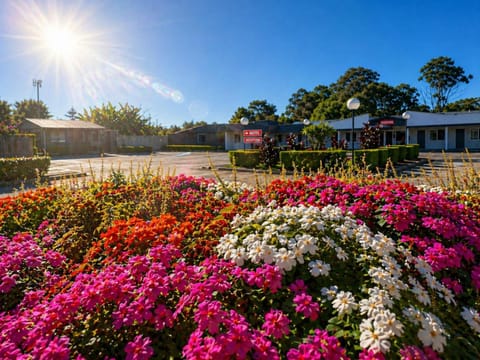 Day, Natural landscape, Garden, Lobby or reception, Garden view