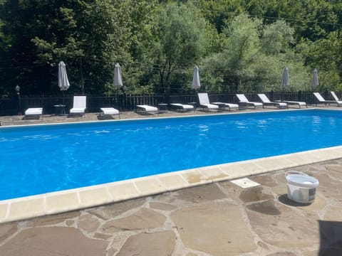 Day, On site, Pool view, Swimming pool, sunbed