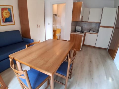 Kitchen or kitchenette, Living room, Seating area, Dining area, oven, pet friendly, stove