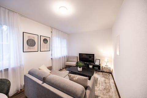 TV and multimedia, Photo of the whole room, Decorative detail, Seating area, furniture