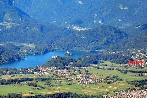 Marta's House Country House in Bled