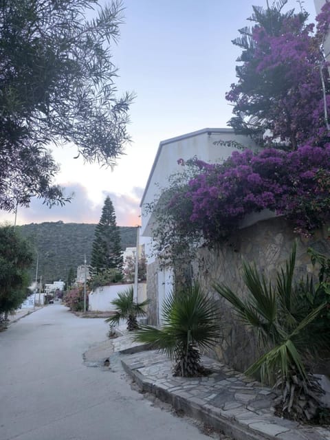 Property building, Neighbourhood, Natural landscape, Garden, Garden view, Mountain view, Mountain view, Sunset, Parking