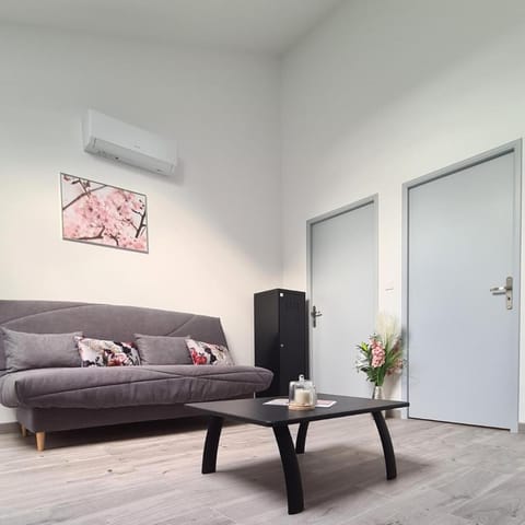 Living room, Seating area, air conditioner