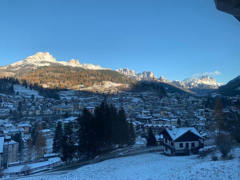 Casa Soppelsa 1 Apartment in Moena