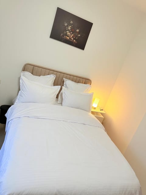 mervahome jeunesse Hostel in Charleroi