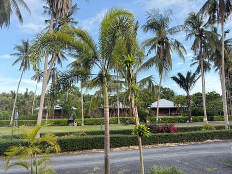 Natural landscape, Garden, Garden view