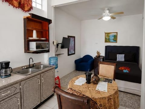 Coffee/tea facilities, Kitchen or kitchenette, Seating area, Dining area