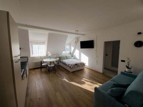 Bed, TV and multimedia, Living room, Photo of the whole room, Seating area, Dining area, Bedroom