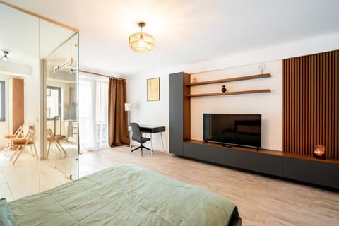 Communal lounge/ TV room, TV and multimedia, Living room, Photo of the whole room, Seating area, Evening entertainment, Bedroom