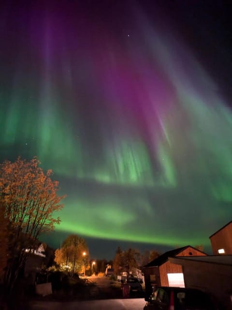 The family house Apartment in Tromso