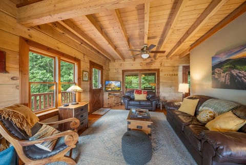 Cool Breeze House in Watauga