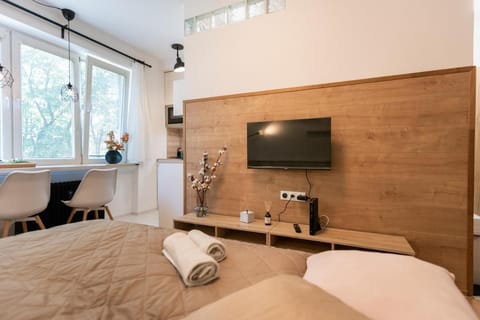 TV and multimedia