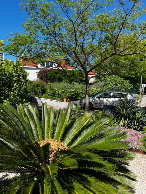 Tianri Apartment in Korčula