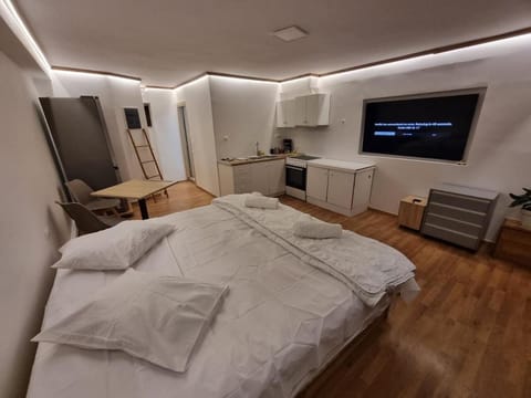 Bed, TV and multimedia, Kitchen or kitchenette, Photo of the whole room, Bedroom, oven