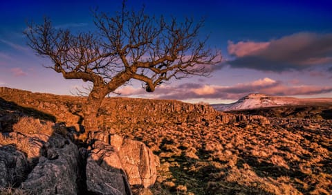 Linton Court Coach House Apartment in Giggleswick