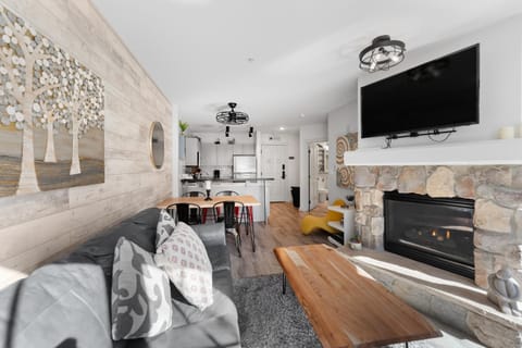 Day, TV and multimedia, Kitchen or kitchenette, Living room, Dining area, fireplace, furniture