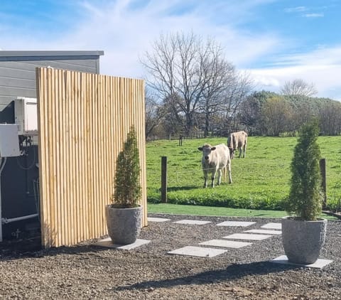 The Little Willow House in Hamilton