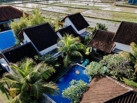 Garden, Garden view, Pool view, Swimming pool, sunbed