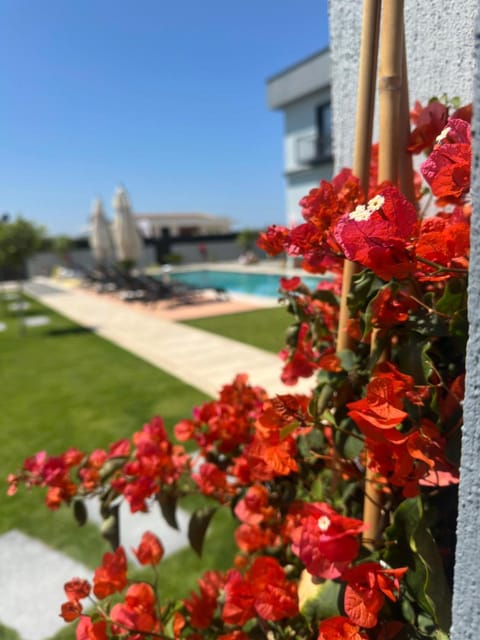 Çeşme Güzel Life Vacation rental in Cesme