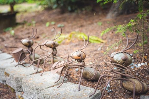 Fern House Rustic Modern Hiking Base Sequim House in Puget Sound