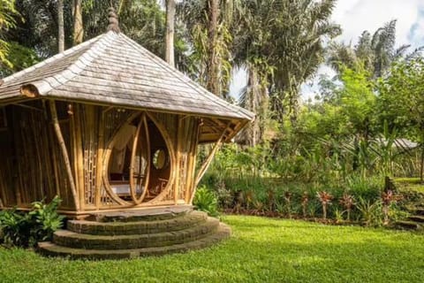 Property building, Patio, Day, Natural landscape, Garden, Garden view