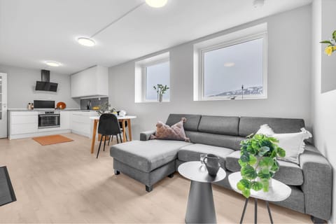 Kitchen or kitchenette, Living room, Seating area, Dining area, stove